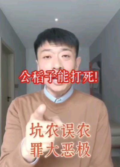 公稻子可以打死？纯属误农！
