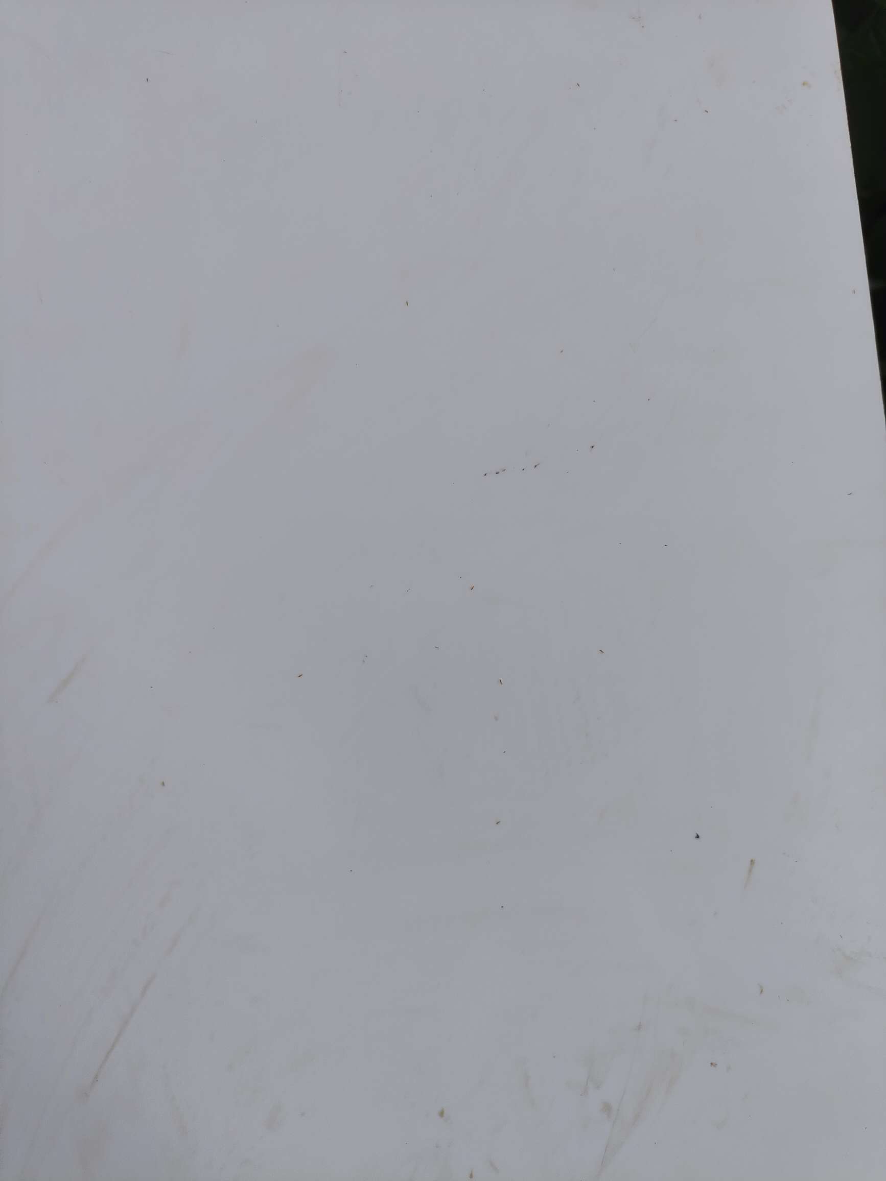 http://st-static1.sznovel.com/forums/2025/08/18/17555288245629.jpeg