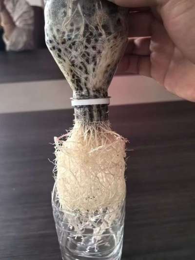 年销售量三十万吨的有机肥生产厂家，全国网点发货，资质齐全，正品保障！有机肥、生物菌肥、微生物肥料等