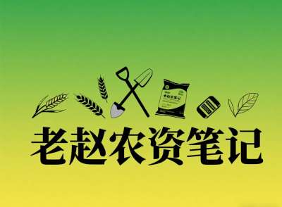乡镇农资店对接厂家：不是否定代理，是找对&ldquo;有前景的小厂&rdquo;补增量