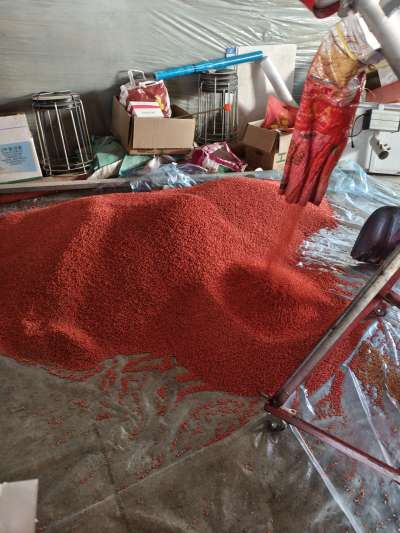 四冠包衣拌种，防虫防病壮苗增产。