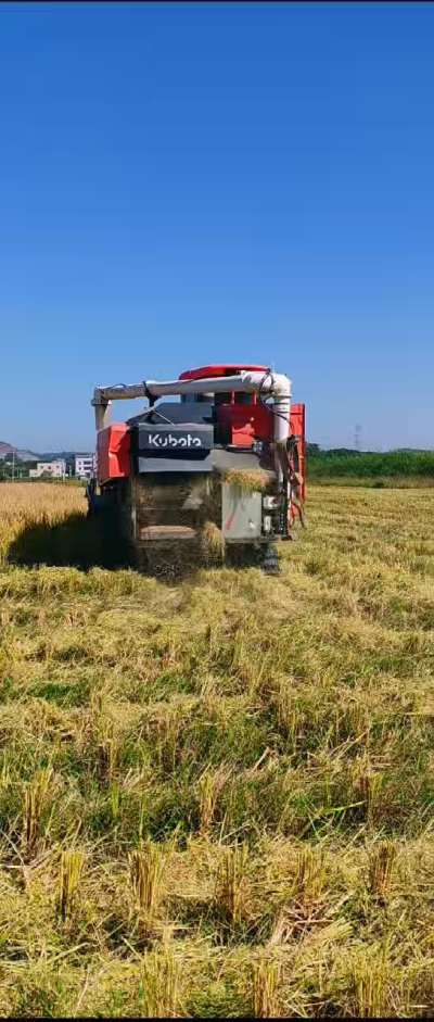 惠州基地，无人拖拉机收水稻了。