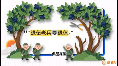 第7节：修剪决定产量（下）&mdash;&mdash;结果树的更新与疏果，课程：《蓝莓&ldquo;高产&rdquo;实战课：从选苗到丰收的10个关键点》