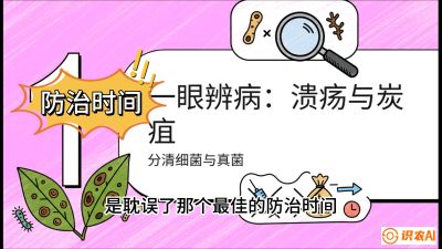 第三节：细菌与真菌&mdash;&mdash;溃疡病与炭疽病，课程：《柑橘十大病虫害：从入门到精通》
