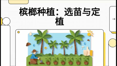 第01节：选苗与定植&mdash;&mdash;&ldquo;苗好一半收，底肥定千秋&rdquo;课程：《槟榔种植：从不懂到精通的10堂必修课》