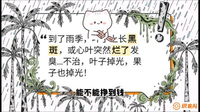 第05节：常见真菌病害&mdash;&mdash;&ldquo;炭疽与烂心，早防值千金&rdquo;《槟榔种植：从不懂到精通的10堂必修课》
