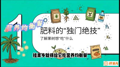 第07节：科学施肥&mdash;&mdash;&ldquo;氮磷钾配好，树壮果不倒