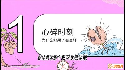 第08节：微量元素与保果&mdash;&mdash;&ldquo;补硼又补钙，果子不裂坏&rdquo;《槟榔种植：从不懂到精通的10堂必修课》