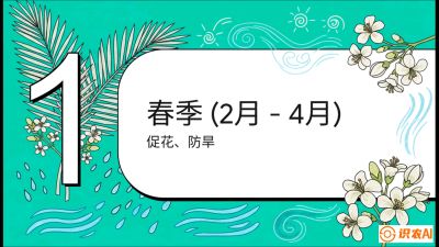 第10节：周年农事日历&mdash;&mdash;&ldquo;跟着节气走，丰产在手头&rdquo;《槟榔种植：从不懂到精通的10堂必修课》