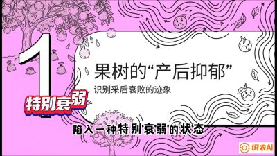 第2节：【冬肥策略】采后&ldquo;月子肥&rdquo;：大小年的精准干预术，课程：《柑橘底肥&ldquo;翻身账&rdquo;：从改土到高产的实战全书》
