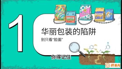 第4节：【黄金配方】底肥里的&ldquo;铁三角&rdquo;与&ldquo;微量雷区&rdquo;课程：《柑橘底肥&ldquo;翻身账&rdquo;：从改土到高产的实战全书》