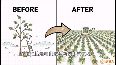 第02节：把树变成草&mdash;&mdash;&ldquo;草本化密植&rdquo;技术，课程：《桑海淘金：桑树高产与蚕桑安全进阶实战课》