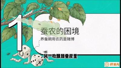 第06节：虫口夺叶（上）&mdash;&mdash;物理与生物防控绝技，课程《桑海淘金：桑树高产与蚕桑安全进阶实战课》