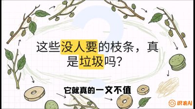 第12节：变废为宝&mdash;&mdash;循环农业实操，课程：《桑海淘金：桑树高产与蚕桑安全进阶实战课》