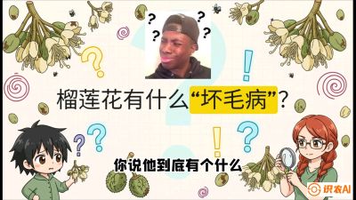 第六节：榴莲的午夜战事，夜间授粉战与花果期避雨策略，课程：《国产榴莲突围战：从泰国经验到中国实操的8堂必修课（高阶实战版）》