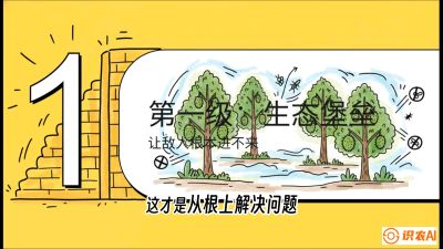 第七节：榴莲防御战：病虫害三级立体防控，疫霉菌与虫害的立体封锁线，课程：《国产榴莲突围战：从泰国经验到中国实操的8堂必修课（高阶实战版）》