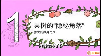 第3节：无人机专治&ldquo;打不透&rdquo;&mdash;&mdash;果树与高杆作物的穿透技巧，课程：《无人机植保搞钱必修课：从&ldquo;瞎飞&rdquo;到&ldquo;懂行&rdquo;的6步进阶》