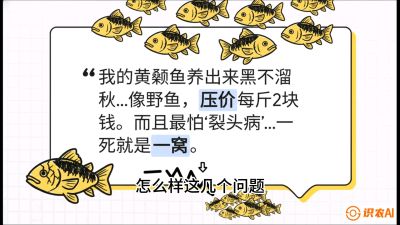 第四节：【黄金单品&middot;黄颡鱼】解决&ldquo;一点红&rdquo;与&ldquo;香蕉色&rdquo;的悖论，课程：《黄金鳞甲：2025中国淡水鱼高效养殖实战营》