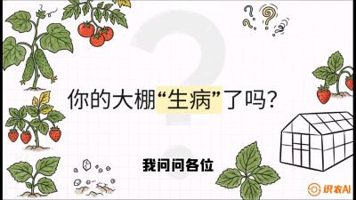 第2节（解毒篇）： 大棚里的&ldquo;红白绿&rdquo;警报&mdash;&mdash;读懂土壤盐渍化的求救信号，课程：《揭秘土壤的秘密：让土地帮你赚钱》#识农AI