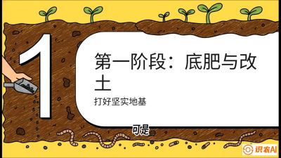 第6节（统筹篇）： 省钱又增产的&ldquo;黄金配比&rdquo;&mdash;&mdash;不同作物全年的养土实操方案，课程：《揭秘土壤的秘密：让土地帮你赚钱》#识农AI