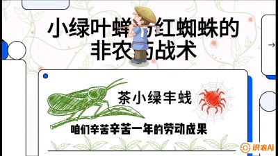第03节（虫害篇）：看不见的吸血鬼：小绿叶蝉与红蜘蛛的&ldquo;非农药&rdquo;团灭战术（抗性治理），课程：《茶金时代：从&ldquo;看天吃饭&rdquo;到&ldquo;精准控局&rdquo;的茶叶高产提质实战课》
