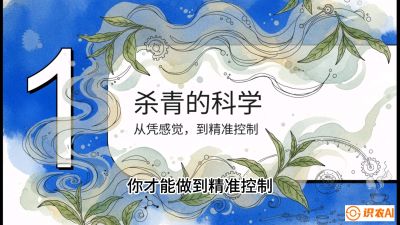 第05节（加工篇）：决胜2分钟：用&ldquo;数字温控&rdquo;破解杀青不匀，复刻大师级手工口感，课程：《茶金时代：从&ldquo;看天吃饭&rdquo;到&ldquo;精准控局&rdquo;的茶叶高产提质实战课》