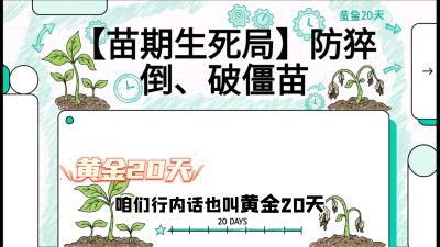 第2节：【苗期生死局】防猝倒、破僵苗，决定后期产量的&ldquo;黄金20天&rdquo;，课程：《辣椒种植实战特训营，从工业辣椒到精品小米辣，教你如何把&ldquo;草&rdquo;种成&ldquo;金&rdquo;》