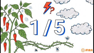 第6节：【花果爆发术】落花落果的五大元凶，与&ldquo;三喷一保&rdquo;坐果黑科技，课程：《辣椒种植实战特训营，从工业辣椒到精品小米辣，教你如何把&ldquo;草&rdquo;种成&ldquo;金&rdquo;》