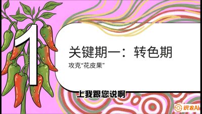 第8节：【小米辣线椒专场】颜值即正义！防花皮、防炭疽，打造收购商抢着要的&ldquo;精品果&rdquo;，课程：《辣椒种植实战特训营，从工业辣椒到精品小米辣，教你如何把&ldquo;草&rdquo;种成&ldquo;金&rdquo;》