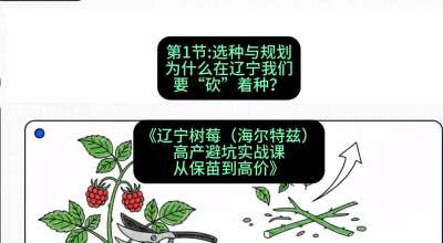 第一节： 选种与规划&mdash;&mdash;为什么在辽宁我们要&ldquo;砍&rdquo;着种？，课程：《辽宁树莓（海尔特兹）高产避坑实战课：从保苗到高价》