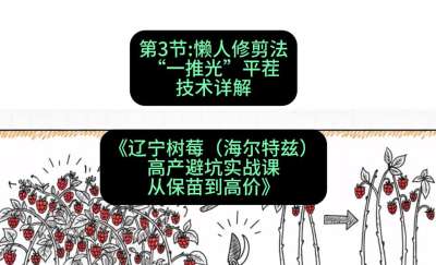 第三节： 懒人修剪法&mdash;&mdash;&ldquo;一推光&rdquo;平茬技术详解，课程：《辽宁树莓（海尔特兹）高产避坑实战课：从保苗到高价》
