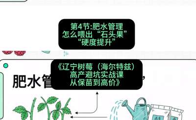 第四节： 肥水管理&mdash;&mdash;怎么喂出&ldquo;石头果&rdquo;（硬度提升），课程：《辽宁树莓（海尔特兹）高产避坑实战课：从保苗到高价》