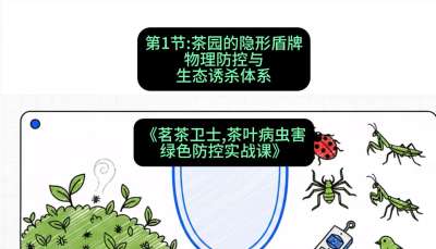 第01节：茶园的&ldquo;隐形盾牌&rdquo;&mdash;&mdash;物理防控与生态诱杀体系，课程：《茗茶卫士&mdash;&mdash;茶叶病虫害绿色防控实战课》#识农AI