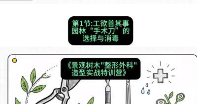 第01节：工欲善其事&mdash;&mdash;园林&ldquo;手术刀&rdquo;的选择与消毒，课程：《景观树木&ldquo;整形外科&rdquo;造型实战特训营》#识农AI