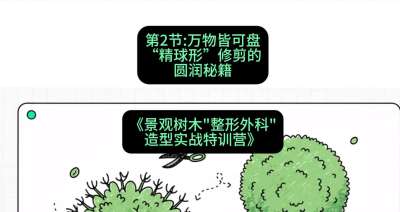 第02节：万物皆可盘&mdash;&mdash;&ldquo;精球形&rdquo;修剪的圆润秘籍，课程：《景观树木&ldquo;整形外科&rdquo;造型实战特训营》#识农AI