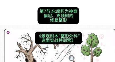 第07节：化腐朽为神奇&mdash;&mdash;偏冠、秃顶树的修复整形，课程：《景观树木&ldquo;整形外科&rdquo;造型实战特训营》#识农AI