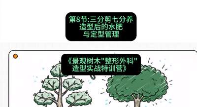 第08节：三分剪七分养&mdash;&mdash;造型后的水肥与定型管理，课程：《景观树木&ldquo;整形外科&rdquo;造型实战特训营》#识农AI