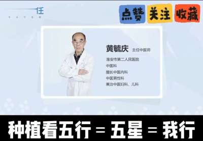中药材淫羊藿怎么种？听专家一次讲明白！不挑地块好管理，耐寒耐旱省心省力，新手也能轻松上手，药用价值高、市场需求稳，妥妥的增收好品种～ 从生长习性到采收要点，干货满满无废话，种植疑问直接问，一对一答疑解