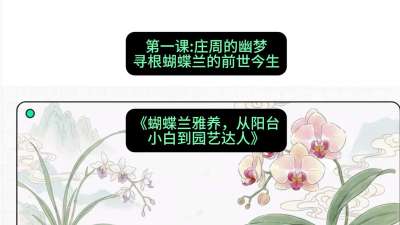 第一节：庄周的幽梦：寻根蝴蝶兰的前世今生，课程：《蝴蝶兰雅养六讲：从阳台小白到园艺达人》#识农AI