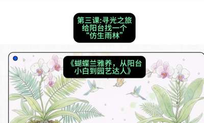第三节：寻光之旅：给阳台找一个&ldquo;仿生雨林&rdquo;，课程：《蝴蝶兰雅养六讲：从阳台小白到园艺达人》#识农AI