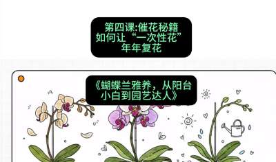 第四节：催花秘籍：如何让&ldquo;一次性花&rdquo;年年复花，课程：《蝴蝶兰雅养六讲：从阳台小白到园艺达人》#识农AI