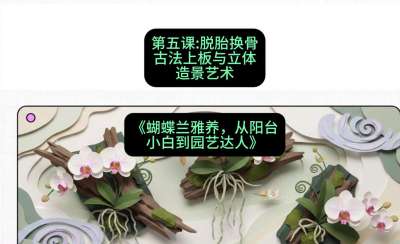 第五节：脱胎换骨：古法上板与立体造景艺术，课程：《蝴蝶兰雅养六讲：从阳台小白到园艺达人》#识农AI