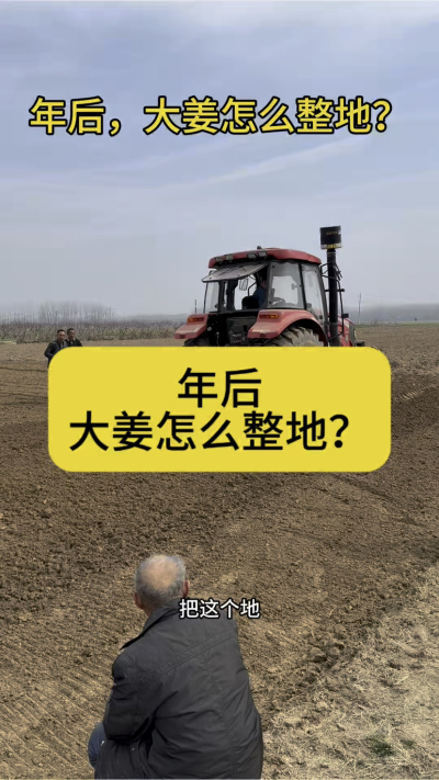 年后，大姜怎么整地？