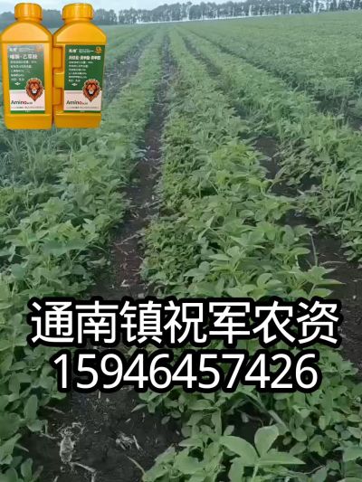 大豆苗前封闭，可封红根苋菜，灰菜，兰花菜，野豆子，捞豆秧等恶性杂草，封杀兼备的高端产品。