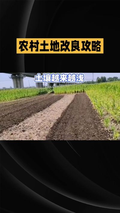 1. 先搞懂：你到底要改良哪块地、种什么
 
- 土土土在哪里？
就是你自家农田、菜地、果园，哪块地想种庄稼，就测哪块地的土。
​
- 有水没有水？
有水能浇：改良更省事，施肥、调酸碱都好操作。
没水