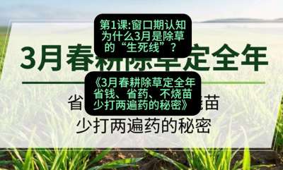 第1节：窗口期认知，为什么3月是除草的&ldquo;生死线&rdquo;？，课程：《3月春耕除草定全年：省钱、省药、不烧苗、少打两遍药的秘密》