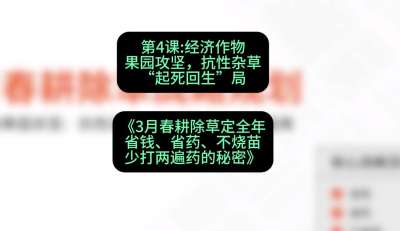 第4节：经济作物果园攻坚，抗性杂草&ldquo;起死回生&rdquo;局，课程：《3月春耕除草定全年：省钱、省药、不烧苗、少打两遍药的秘密》